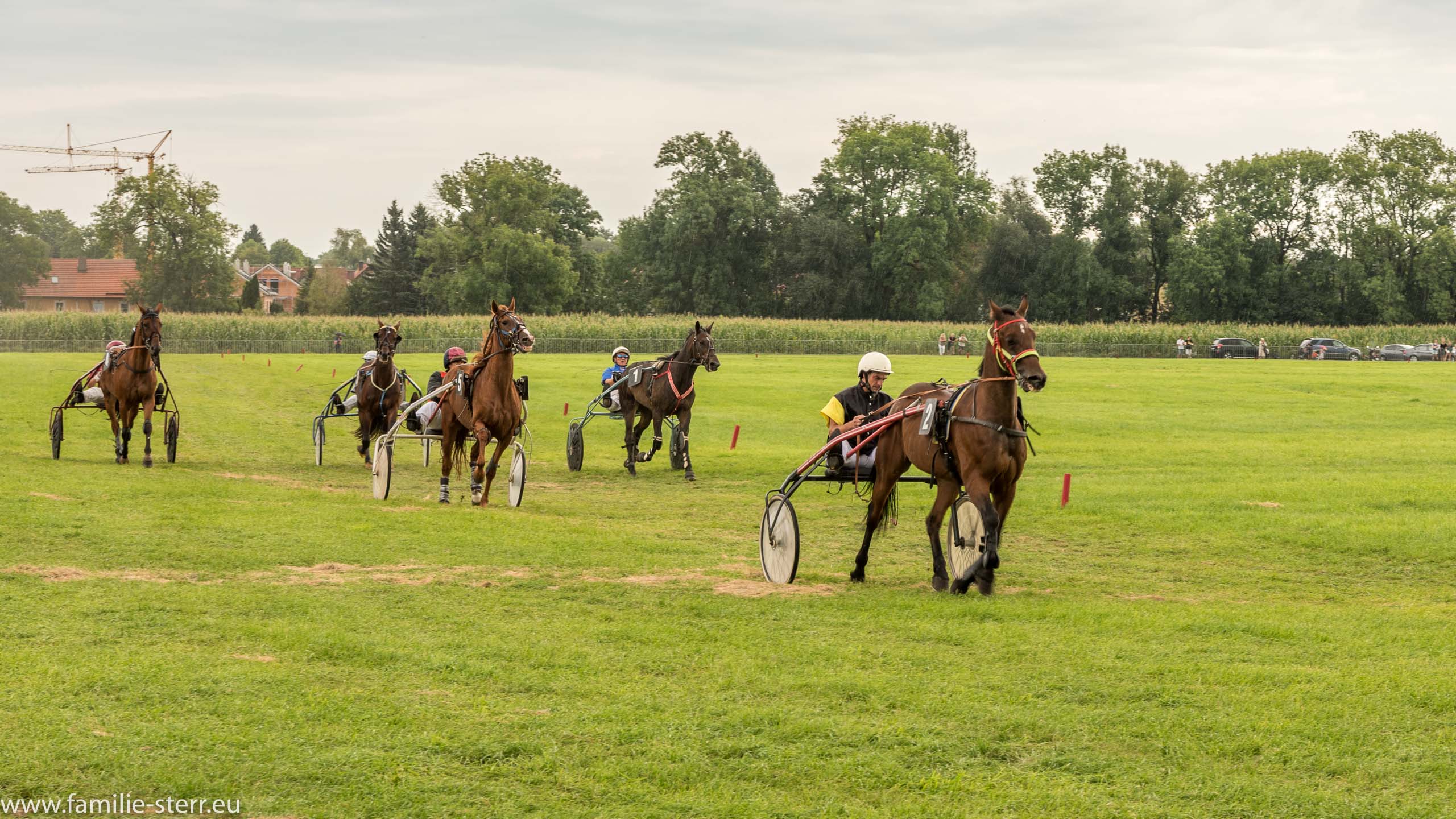 Trabrennen in Erding 2017
